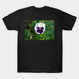 Field flowers. Spring day T-Shirt